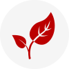 environment icon